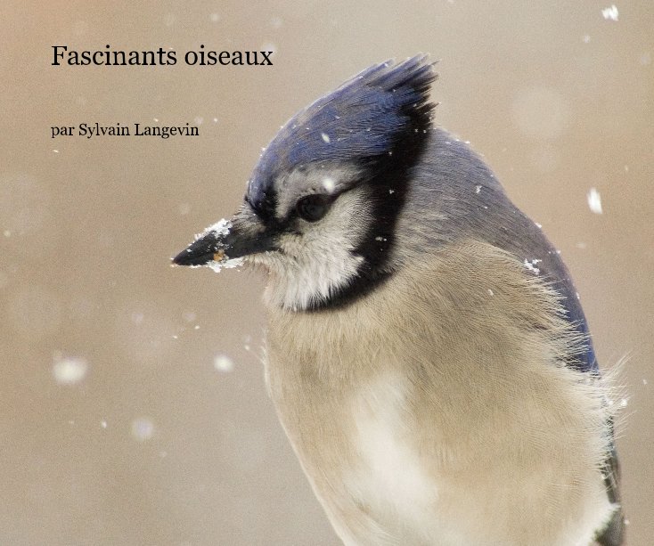 Ver Fascinants oiseaux por par Sylvain Langevin