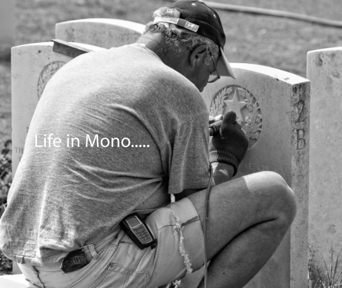 View Life in Mono by Alistair Balharrie LRPS CPAGB