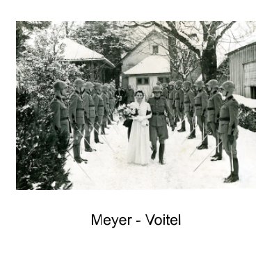 Meyer -Voitel book cover