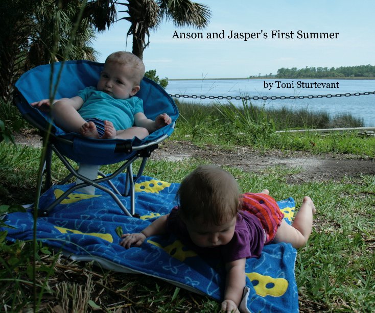 Visualizza Anson and Jasper's First Summer di Toni Sturtevant