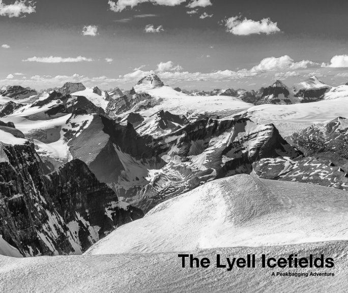 View The Lyell Icefields by Vern Dewit