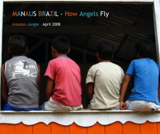 MANAUS BRAZIL - How Angels Fly book cover