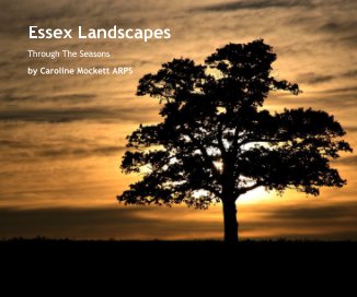 Essex Landscapes book cover
