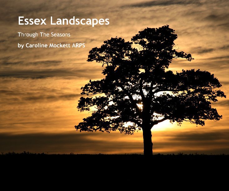 View Essex Landscapes by Caroline Mockett ARPS