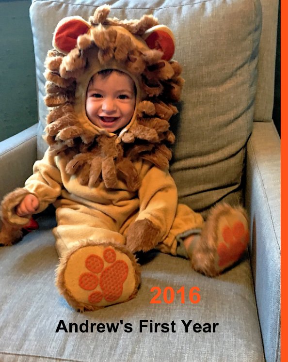 View Andrew's First Year by Howard A Cohen MD