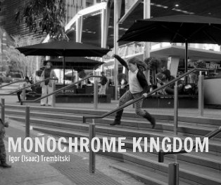 Monochrome Kingdom book cover