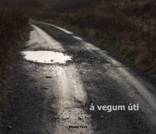 Á vegum úti book cover
