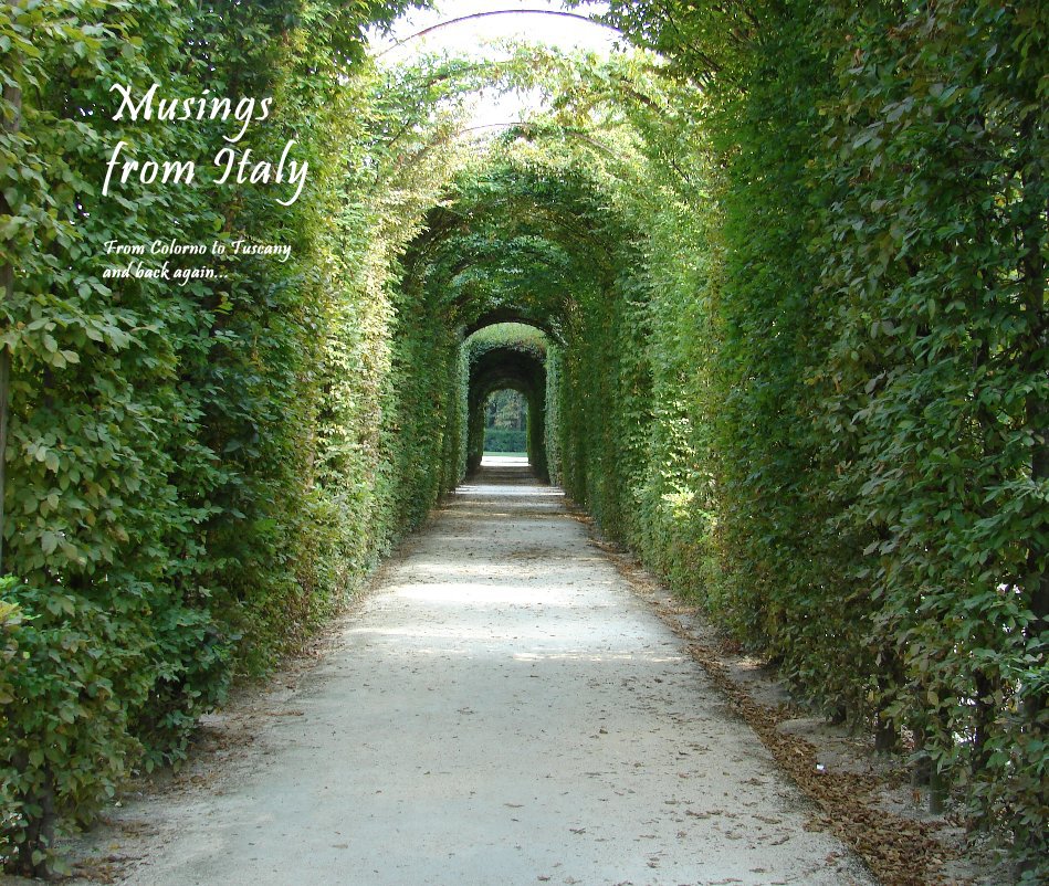 View Musings from Italy by From Colorno to Tuscany and back again...