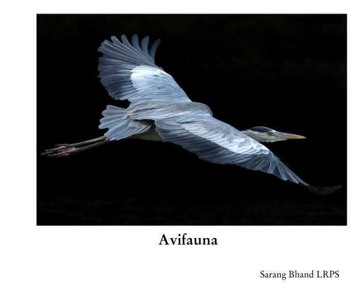 View Avifauna by Sarang Bhand LRPS