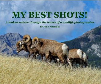 MY BEST SHOTS! book cover