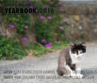 Jordy Meow's Yearbook 2016 book cover