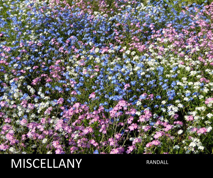 View MISCELLANY by RANDALL