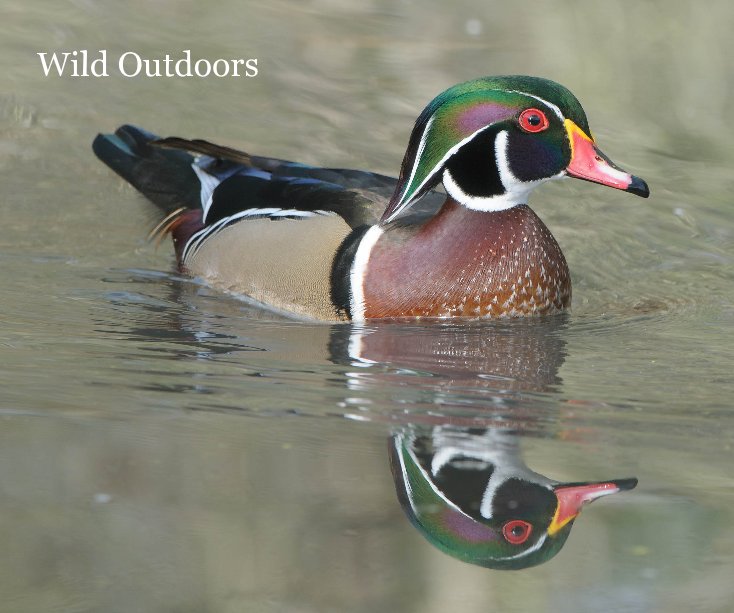 Wild Outdoors nach By: Dennis King anzeigen