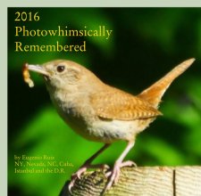 2016 Photowhimsically Remembered book cover
