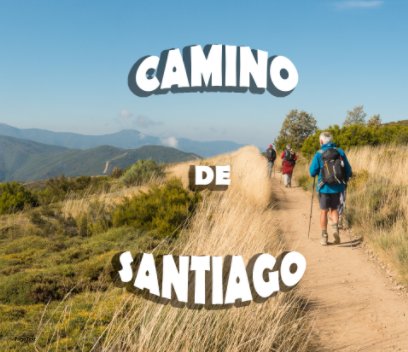 CAMINO DE SANTIAGO book cover