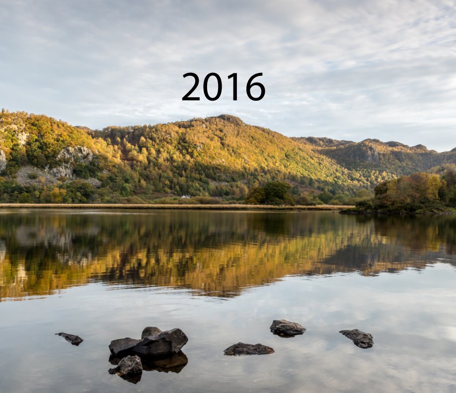 View 2016 by Leslie Ashe