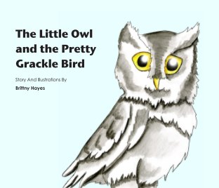 The Little Owl and the Pretty Grackle Bird book cover