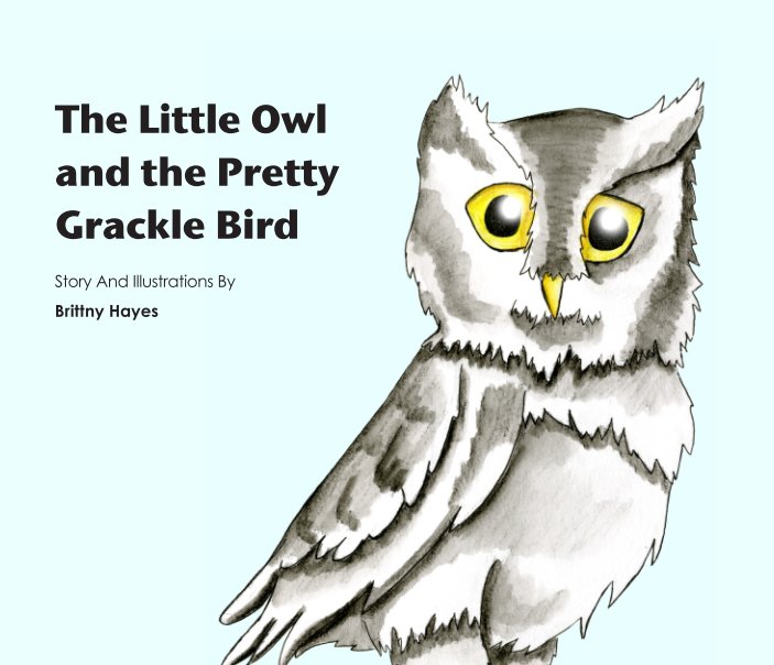 View The Little Owl and the Pretty Grackle Bird by Brittny Hayes