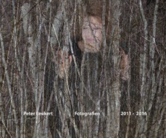 Fotografien  2011 - 2016 book cover