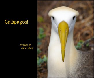 Galapagos! book cover