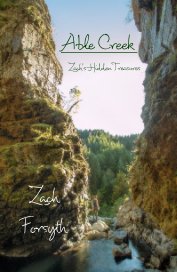 Able Creek:  Zach's Hidden Treasures book cover