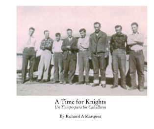 A Time for Knights book cover