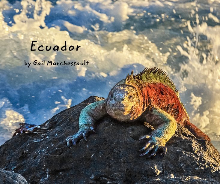 View Ecuador by Gail Marchessault