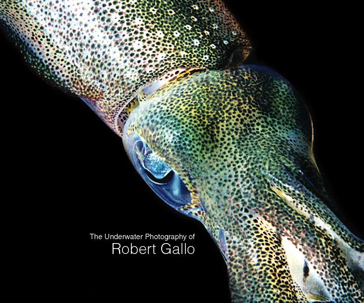 Ver The Underwater Photography of Robert Gallo por David Gallo and Kelsey Wagner