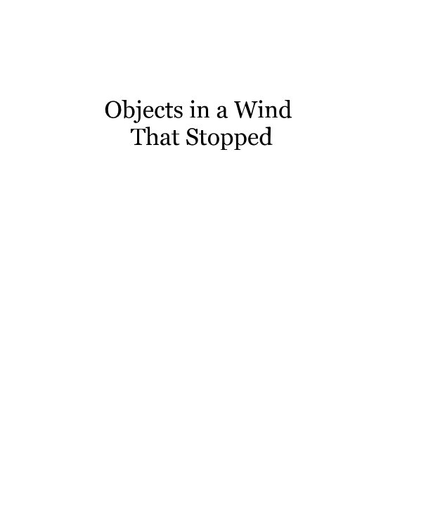 View Objects in a Wind That Stopped by D. Dufer