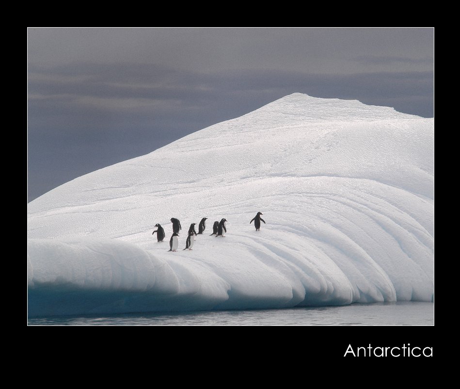 View Antarctica by Elizabeth Fitzgerald