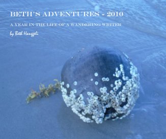 Beth's Adventures - 2010 book cover