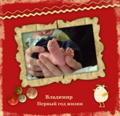 Владимир book cover
