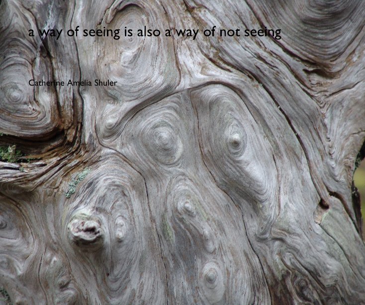 a way of seeing is also a way of not seeing nach Catherine Amelia Shuler anzeigen