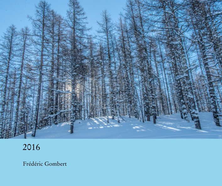 View The Year by Frédéric Gombert