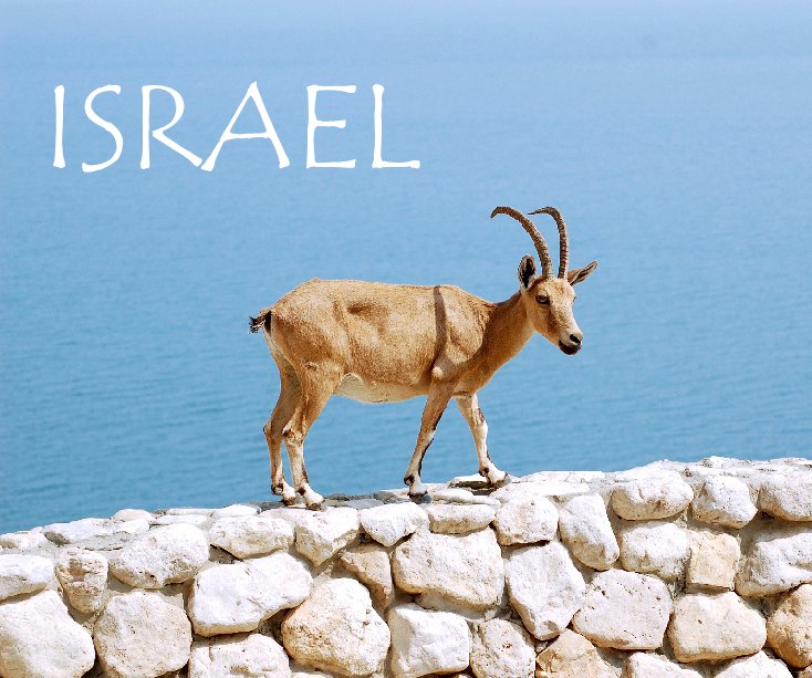 Visualizza ISRAEL di andipics
