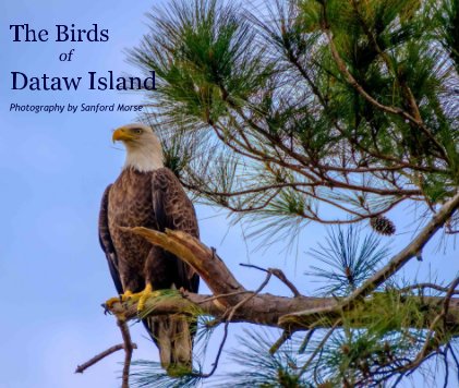 The Birds of Dataw Island book cover