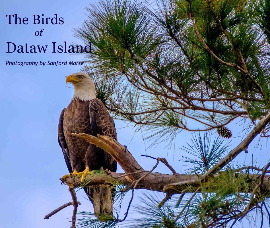Visualizza The Birds of Dataw Island di Photography by Sanford Morse