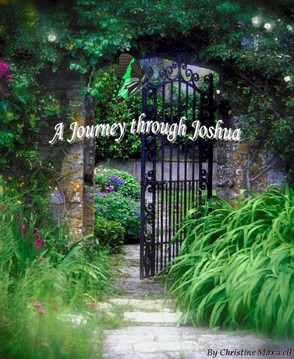 View A Journey Through Joshua by Christine Maxwell