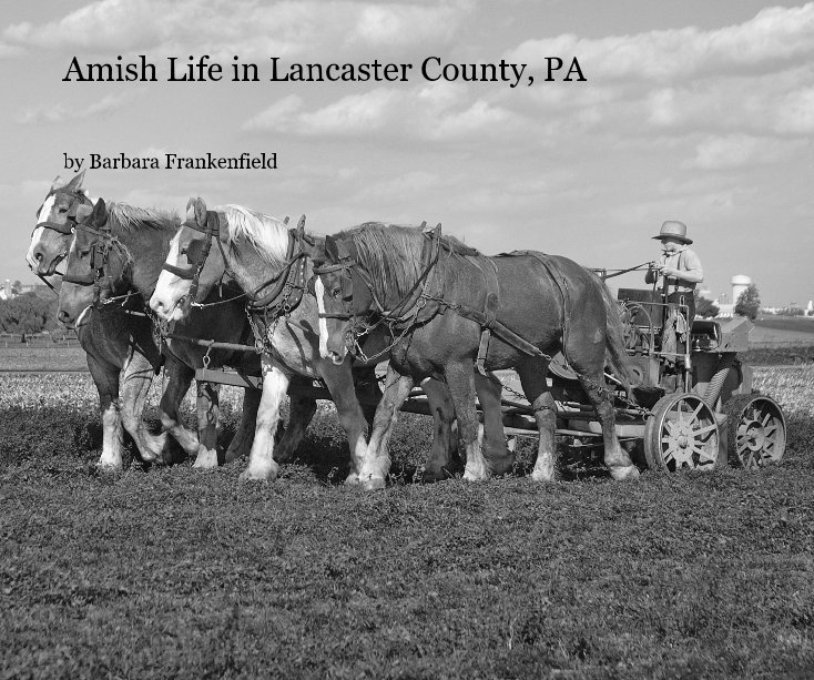 View Amish Life in Lancaster County, PA by Barbara Frankenfield