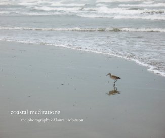 coastal meditations book cover
