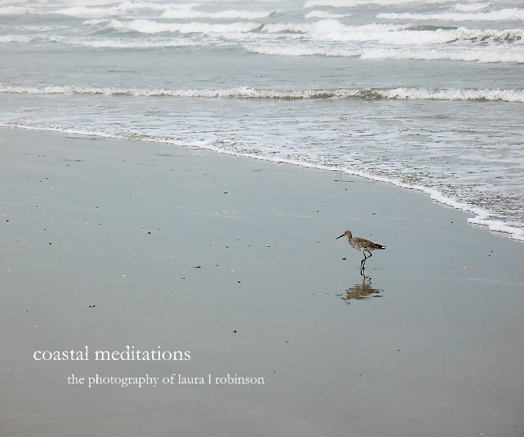 Ver coastal meditations por laura l robinson