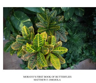Morayo's First Book of Butterflies book cover