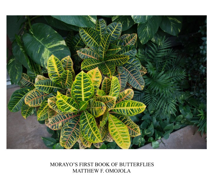 Bekijk Morayo's First Book of Butterflies op Matthew F. Omojola