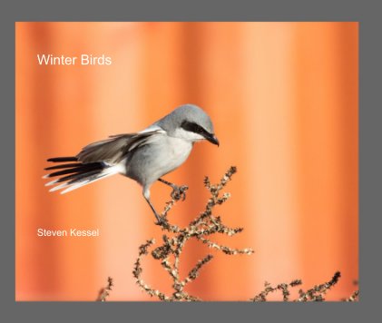 Winter Birds book cover