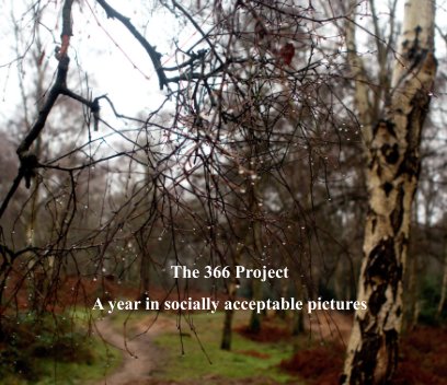 The 366 Project book cover