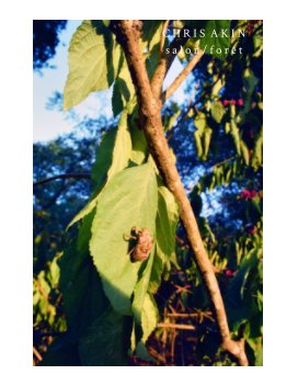 s a l o n / f o r ê t book cover