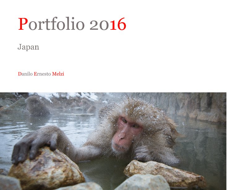 Portfolio 2016 nach Danilo Ernesto Melzi anzeigen