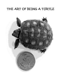 THE ART OF BEING A TURTLE book cover