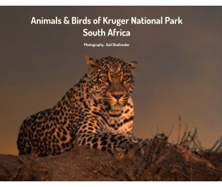 Animals & Birds of Kruger National Park South Africa book cover
