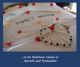 Our Honeymoon in the Maldives book cover